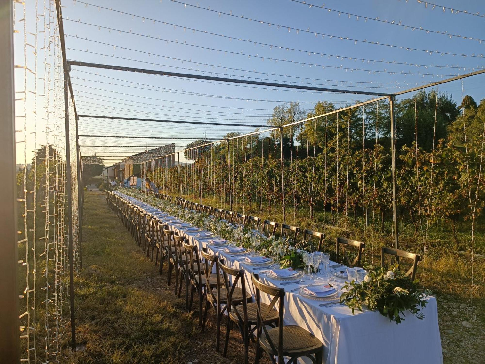 Agriturismo Corte Patrizia カプリーノ・ヴェロネーゼ エクステリア 写真